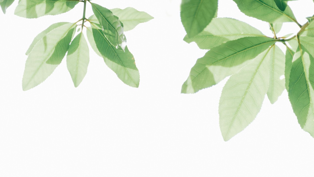 Scoring High on Sustainability